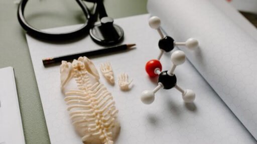 The Commercial Value Of Better Preclinical Research Models