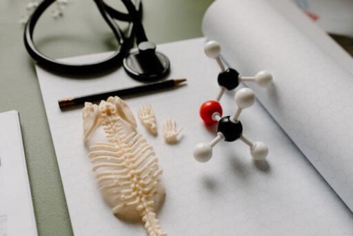 The Commercial Value Of Better Preclinical Research Models