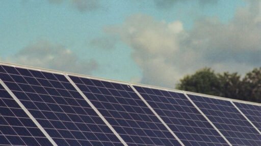 What Does India's $100 Billion Clean Energy Bet Means For Two Connected Sectors?